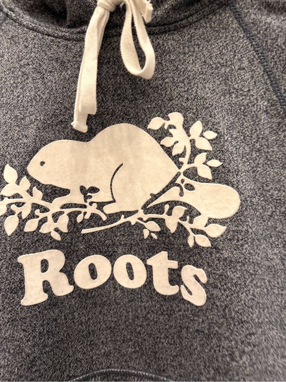 Roots Gray Heather Hoodie with Cream Beaver Logo could be Women’s or Men’s - Picture 3 of 5